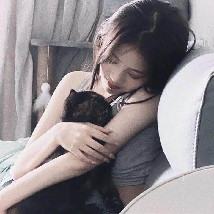 剧情提示请恋爱